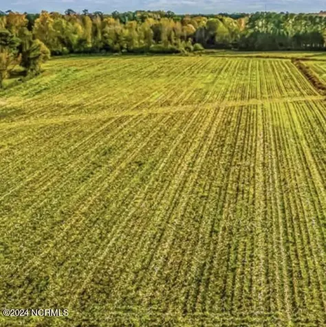 146 Cherry Street Cerro Gordo NC 28430