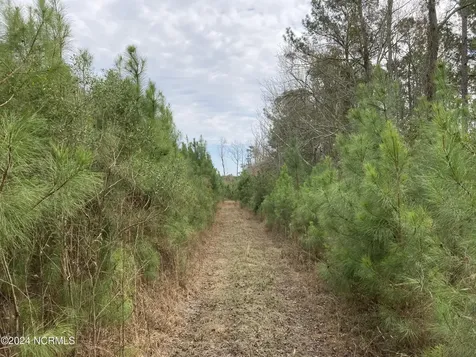 0 N Broadridge Road Orrum NC 28369