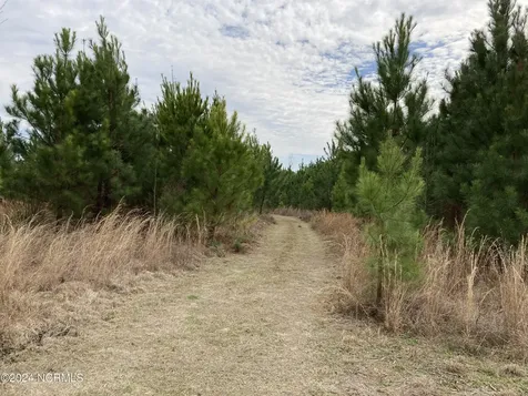 0 N Broadridge Road Orrum NC 28369
