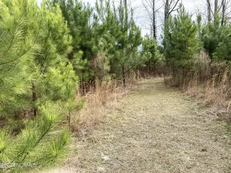 0 N Broadridge Road Orrum NC 28369