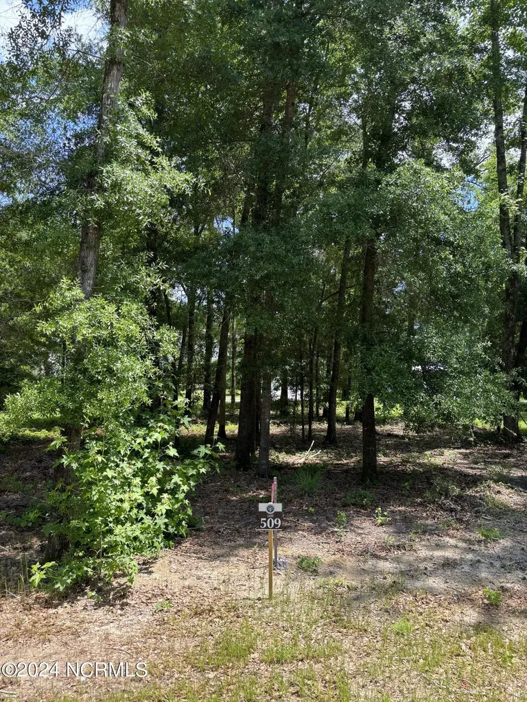 3718 Barnesmore Drive Castle Hayne NC 28429