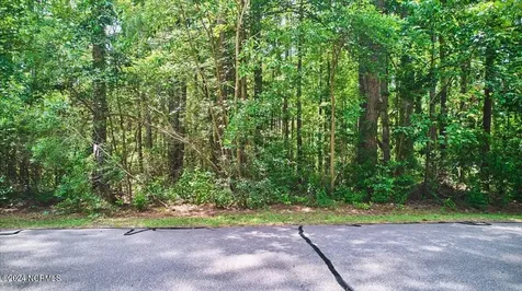 16 Lakeshore Drive Wagram NC 28396