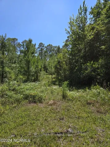 371 & 381 Elm Road Boiling Spring Lakes NC 28461
