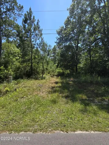 371 & 381 Elm Road Boiling Spring Lakes NC 28461