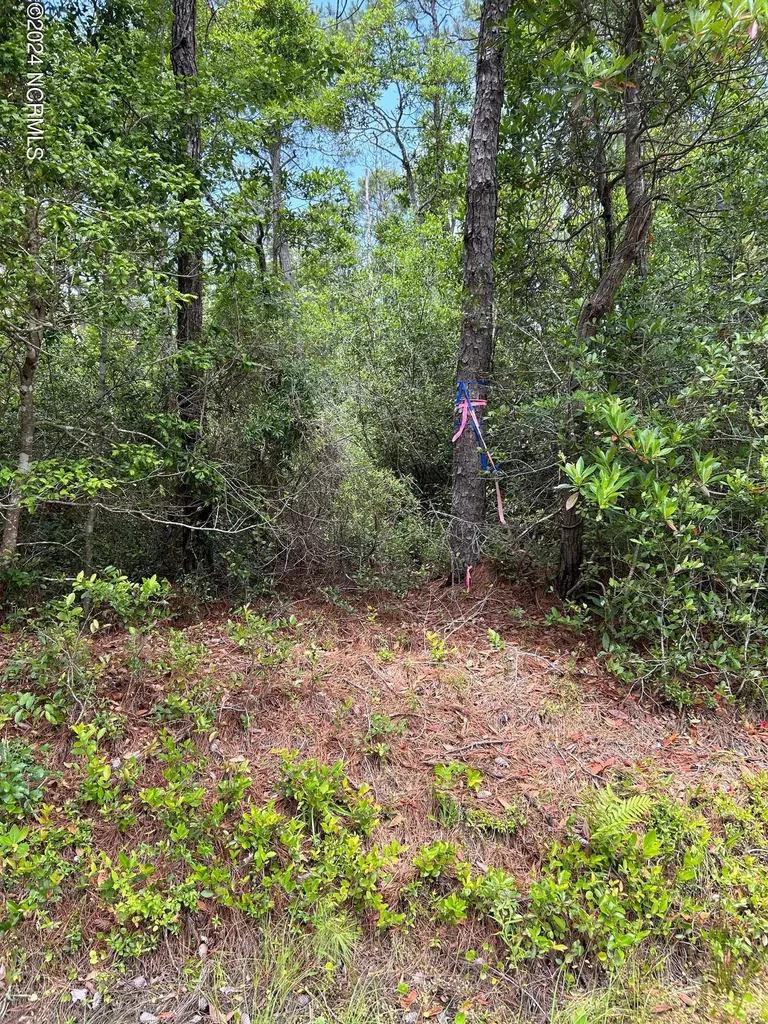 1695 Beech Road Southport NC 28461