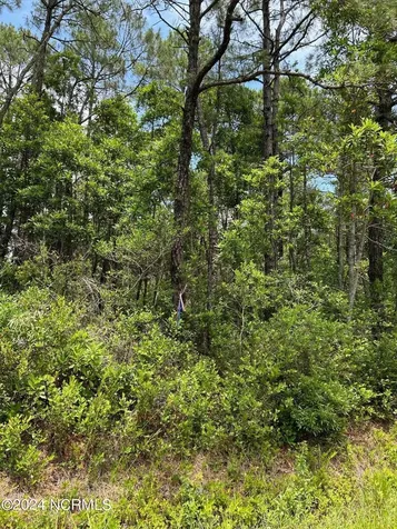 1695 Beech Road Southport NC 28461