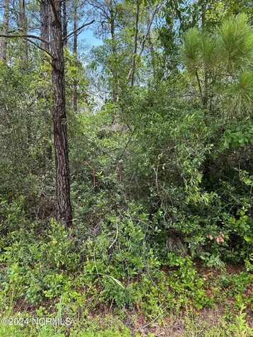 1695 Beech Road Southport NC 28461
