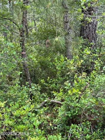1695 Beech Road Southport NC 28461