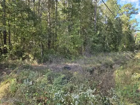 3347 Mt Misery Road NE Leland NC 28451
