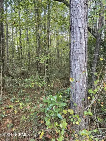 3347 Mt Misery Road NE Leland NC 28451