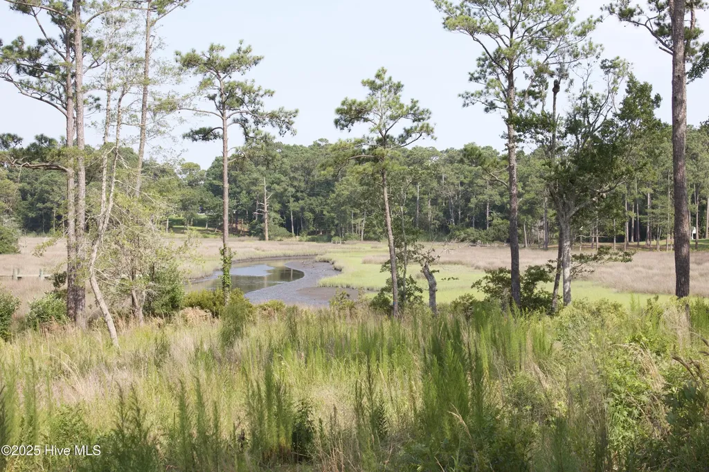 407 Salt Creek Road Swansboro NC 28584