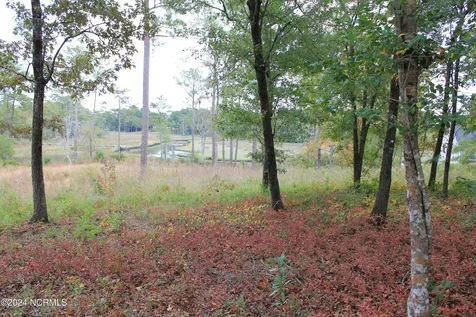 407 Salt Creek Road Swansboro NC 28584