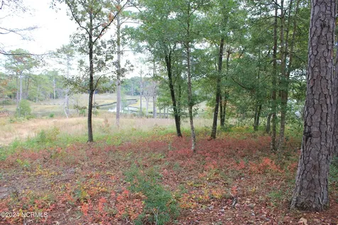 407 Salt Creek Road Swansboro NC 28584