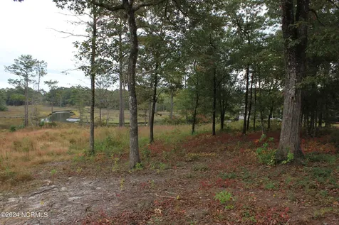 407 Salt Creek Road Swansboro NC 28584
