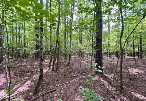 38 Gordon Lane Macon NC 27551