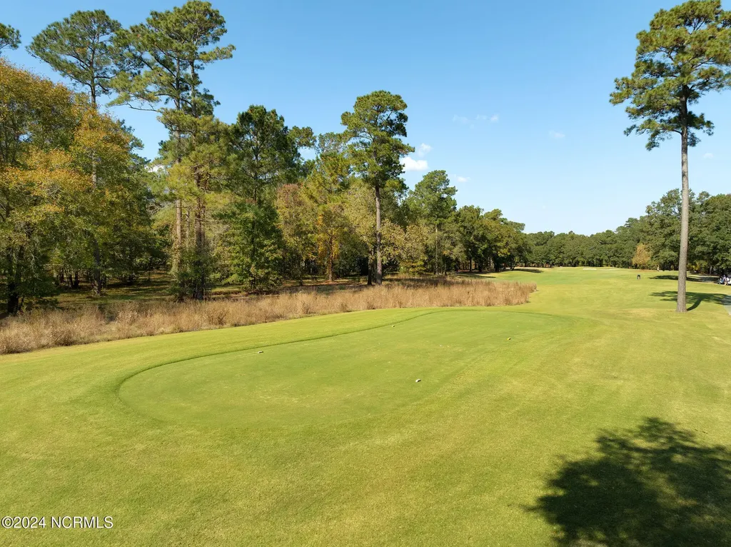 118 Cape Jasmine Lane Wallace NC 28466