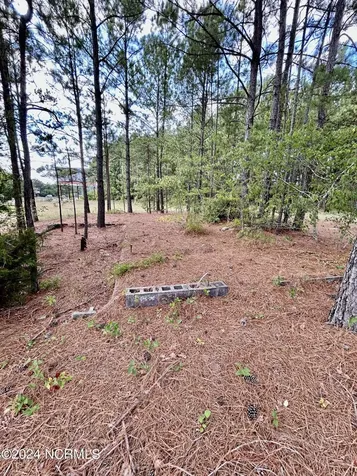 Tbd Hwy 74 Highway Hamlet NC 28345