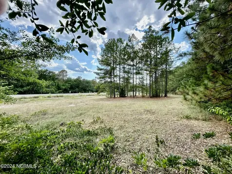 Tbd Hwy 74 Highway Hamlet NC 28345