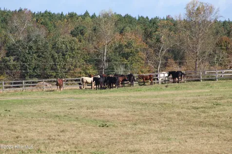 455 Hogan Farm Road Seagrove NC 27341