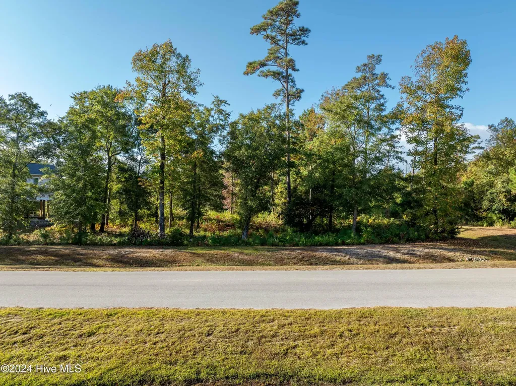 343 Landon Lane Sneads Ferry NC 28460