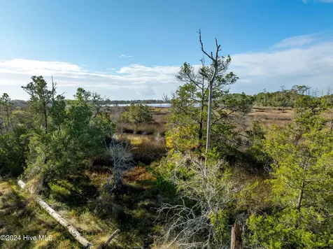 343 Landon Lane Sneads Ferry NC 28460