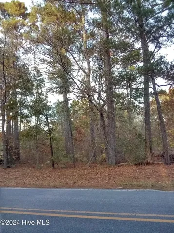 Lot #1 Stelleys Tabernacle Church Road Rockingham NC 28379