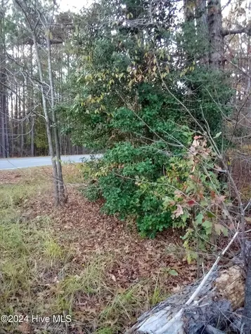 Lot #1 Stelleys Tabernacle Church Road Rockingham NC 28379