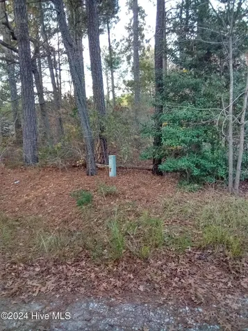Lot #1 Stelleys Tabernacle Church Road Rockingham NC 28379