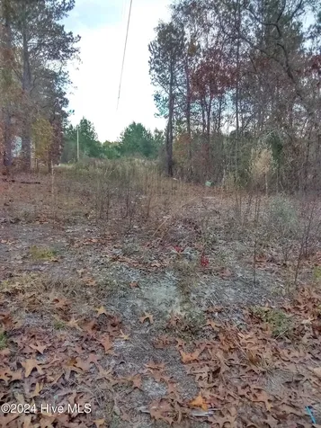 Lot #1 Stelleys Tabernacle Church Road Rockingham NC 28379