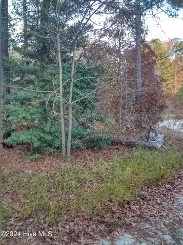 Lot #1 Stelleys Tabernacle Church Road Rockingham NC 28379