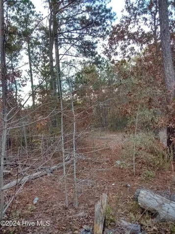 Lot #1 Stelleys Tabernacle Church Road Rockingham NC 28379