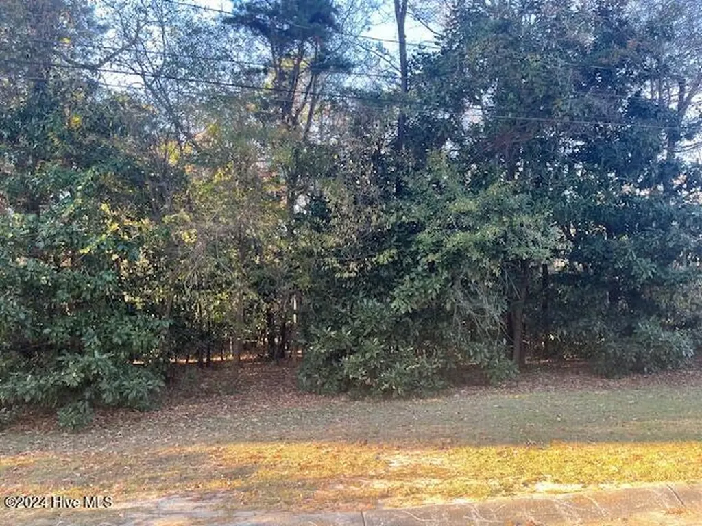 408 Lake Pines Drive La Grange NC 28551