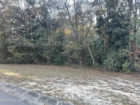 408 Lake Pines Drive La Grange NC 28551