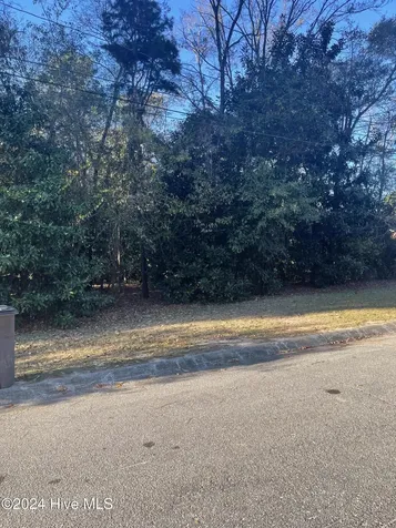 408 Lake Pines Drive La Grange NC 28551