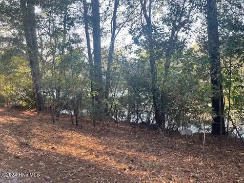 408 Lake Pines Drive La Grange NC 28551