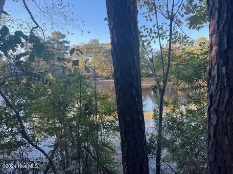 408 Lake Pines Drive La Grange NC 28551