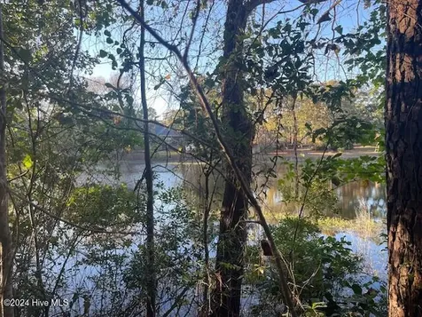 408 Lake Pines Drive La Grange NC 28551