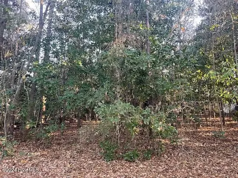 408 Lake Pines Drive La Grange NC 28551