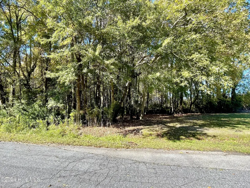 1239 Chance Boulevard Robersonville NC 27871