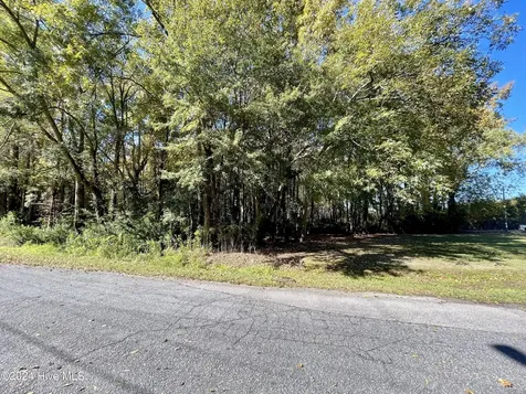 1239 Chance Boulevard Robersonville NC 27871