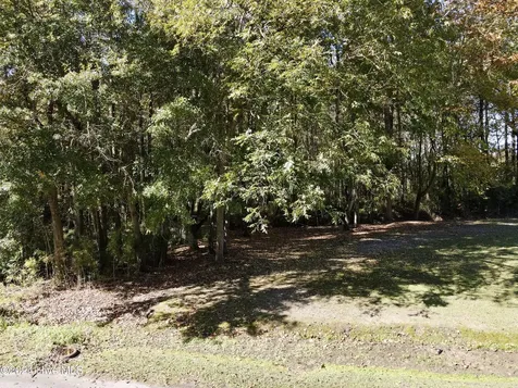 1239 Chance Boulevard Robersonville NC 27871
