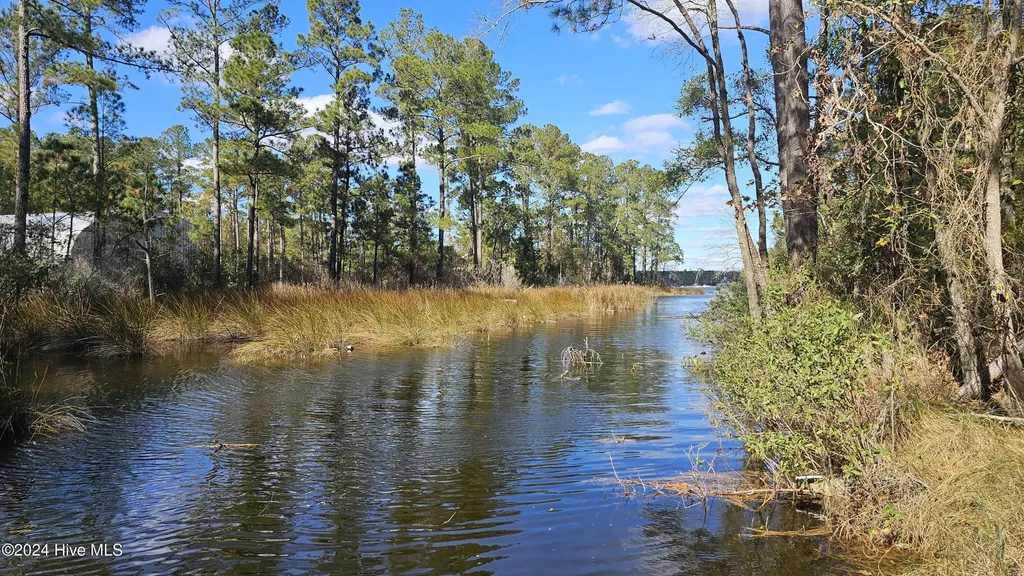 0 Barnes Foster Loop Road Belhaven NC 27810