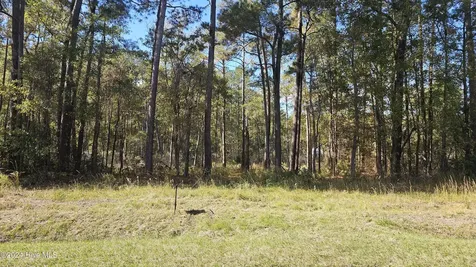 0 Barnes Foster Loop Road Belhaven NC 27810