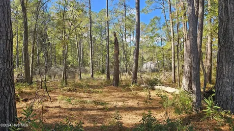 0 Barnes Foster Loop Road Belhaven NC 27810