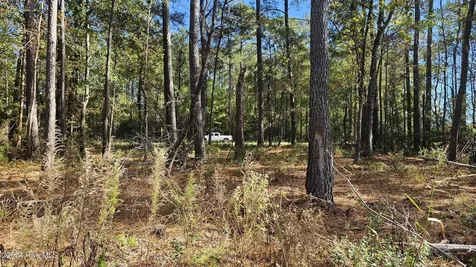 0 Barnes Foster Loop Road Belhaven NC 27810