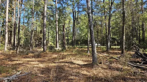 0 Barnes Foster Loop Road Belhaven NC 27810