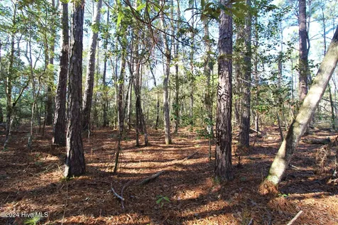 241 Becton Road Havelock NC 28532