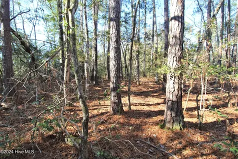 241 Becton Road Havelock NC 28532