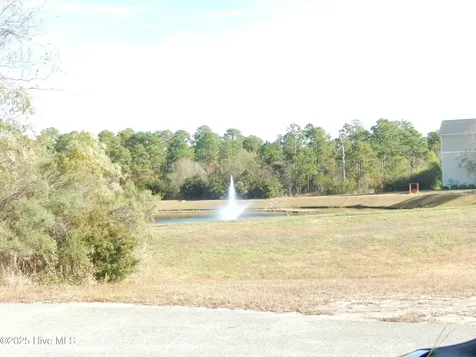 366 Greenview Ranch Wilmington NC 28411