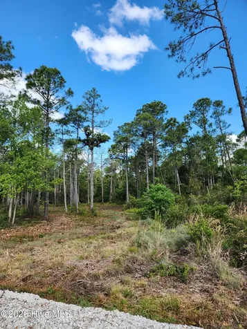372 Greenview Ranch Wilmington NC 28411